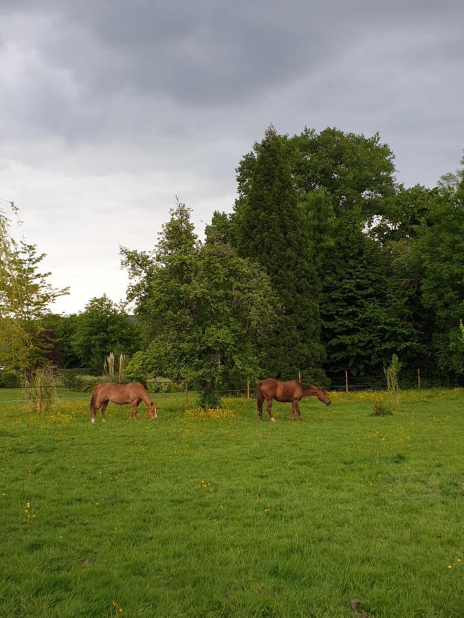 Chambre D'Hote Normande Freneuse-Sur-Risle エクステリア 写真